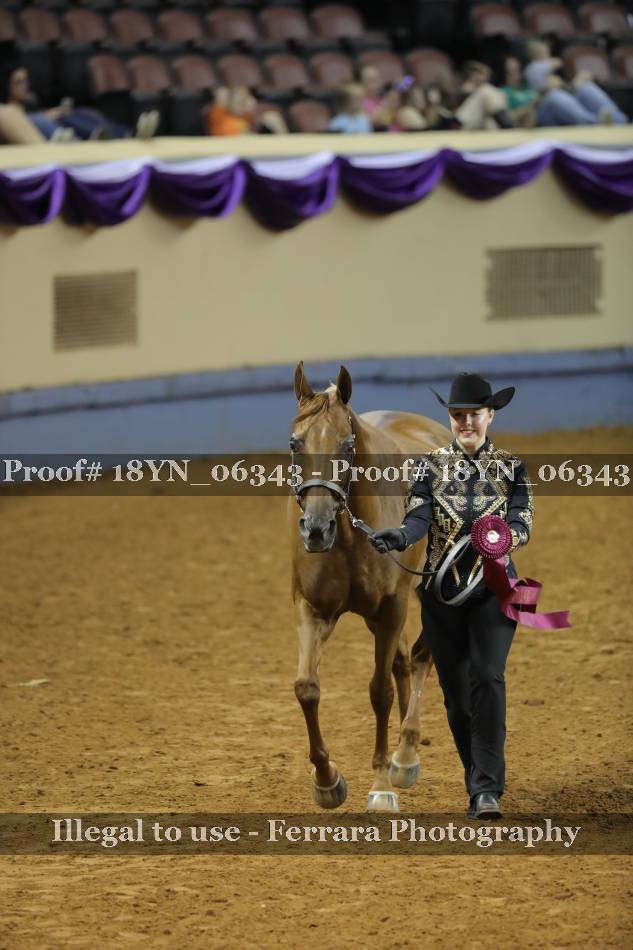 Proof 18YN_06343