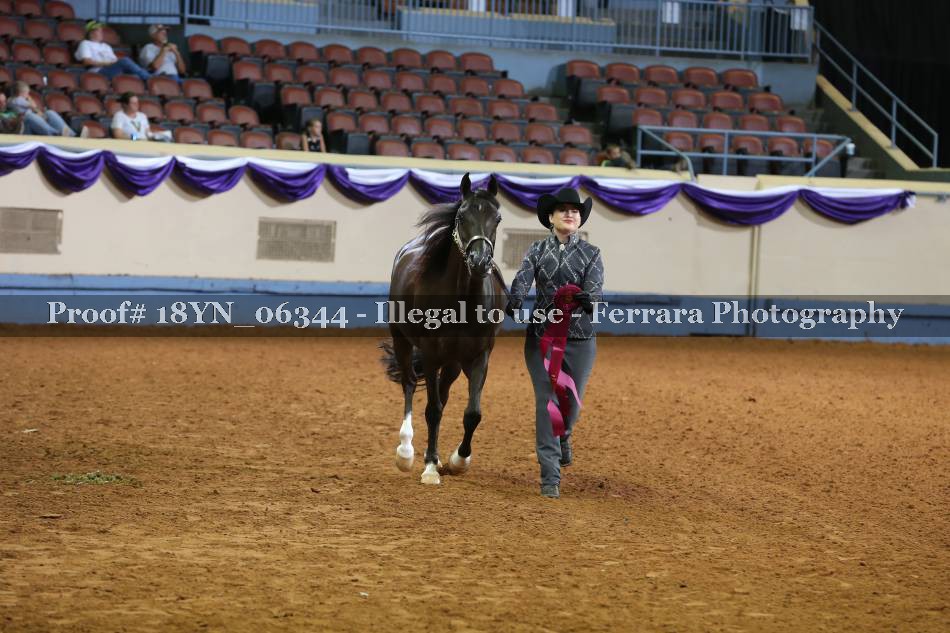 Proof 18YN_06344