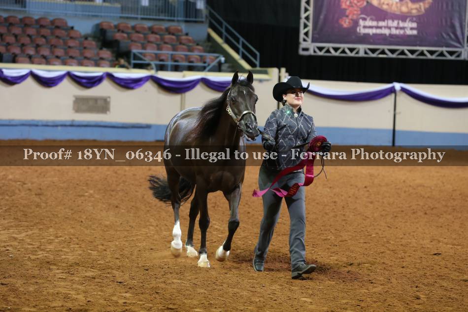 Proof 18YN_06346