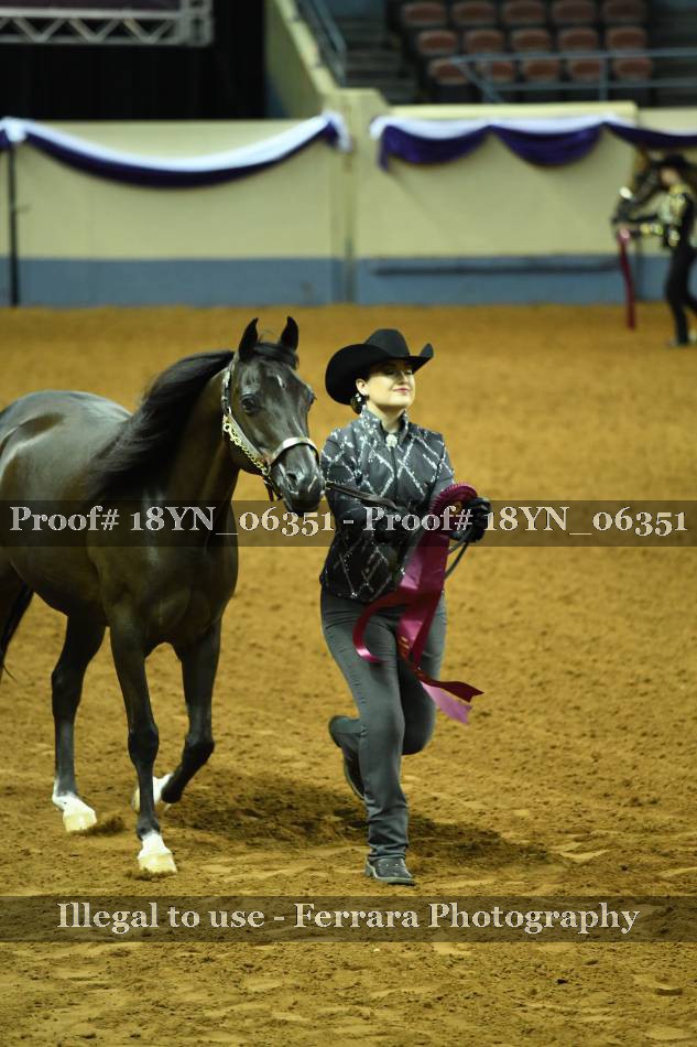 Proof 18YN_06351