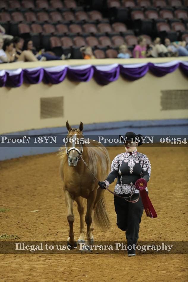 Proof 18YN_06354