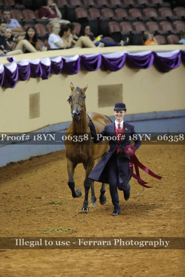 Proof 18YN_06358