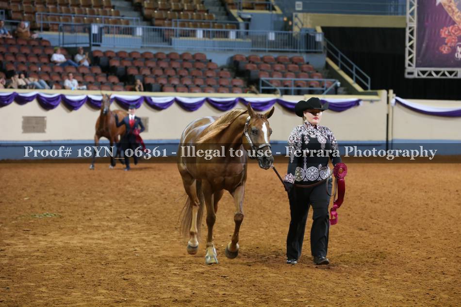 Proof 18YN_06361