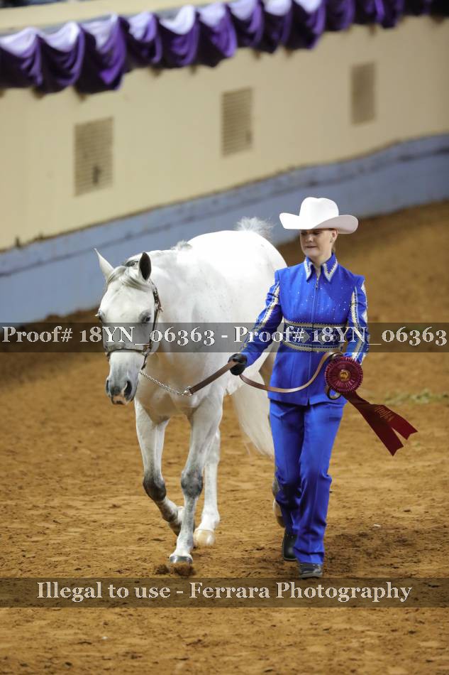 Proof 18YN_06363