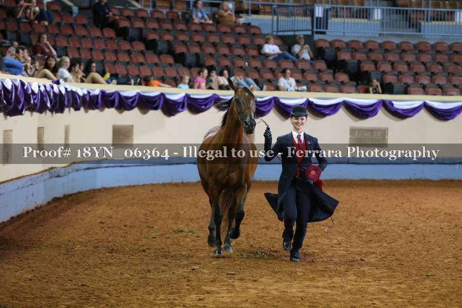 Proof 18YN_06364