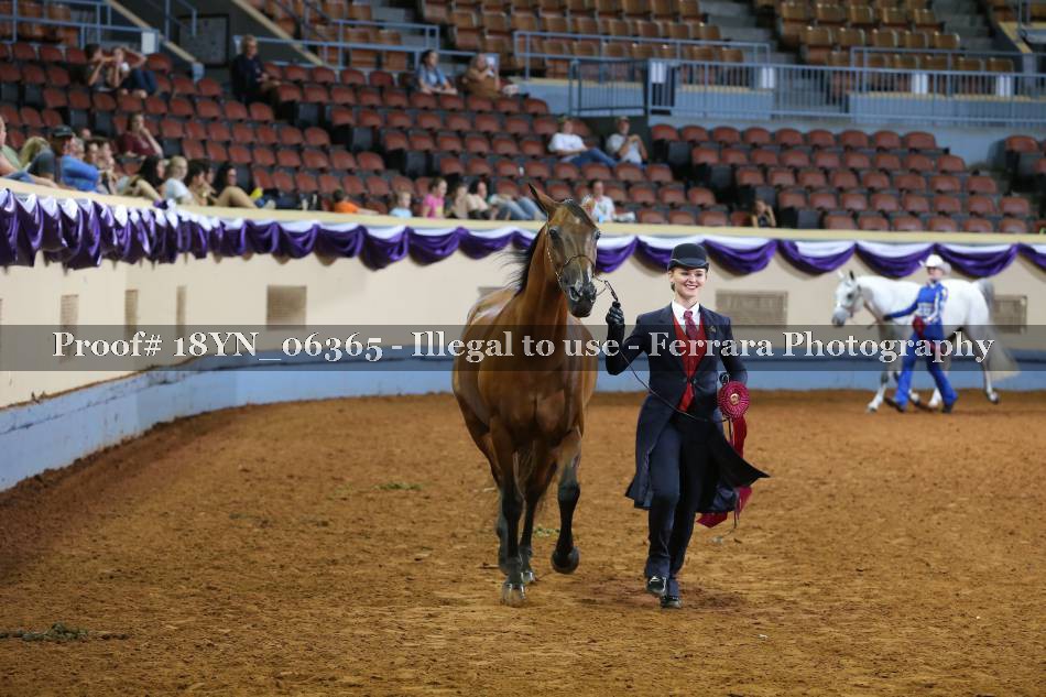 Proof 18YN_06365
