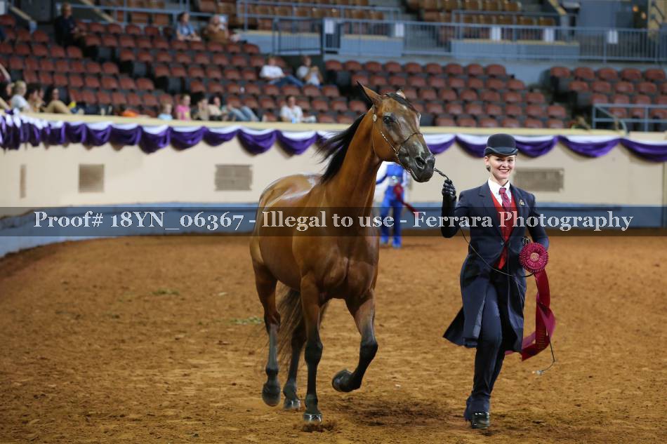 Proof 18YN_06367