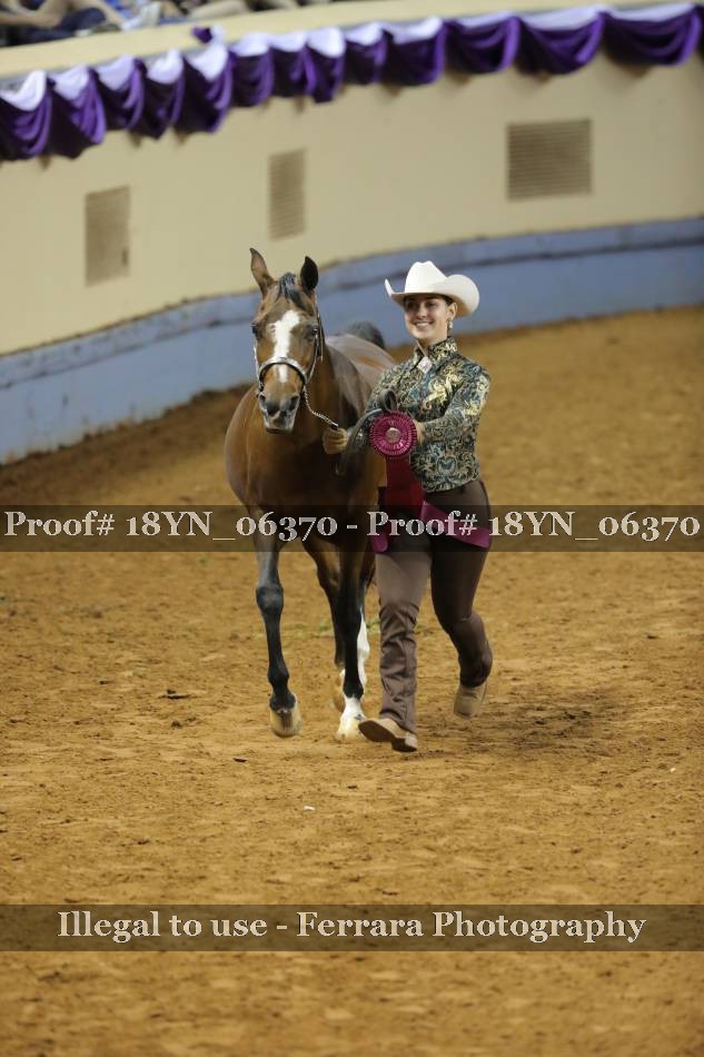 Proof 18YN_06370