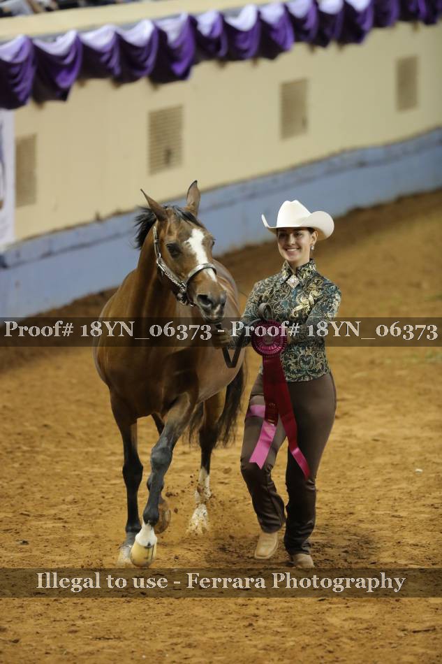 Proof 18YN_06373
