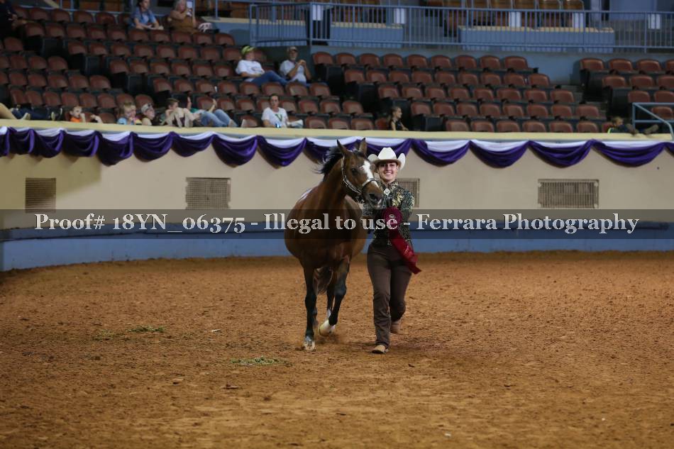 Proof 18YN_06375