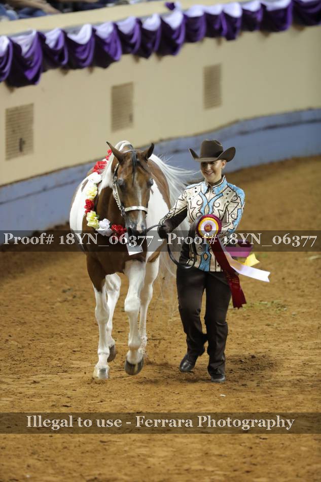 Proof 18YN_06377