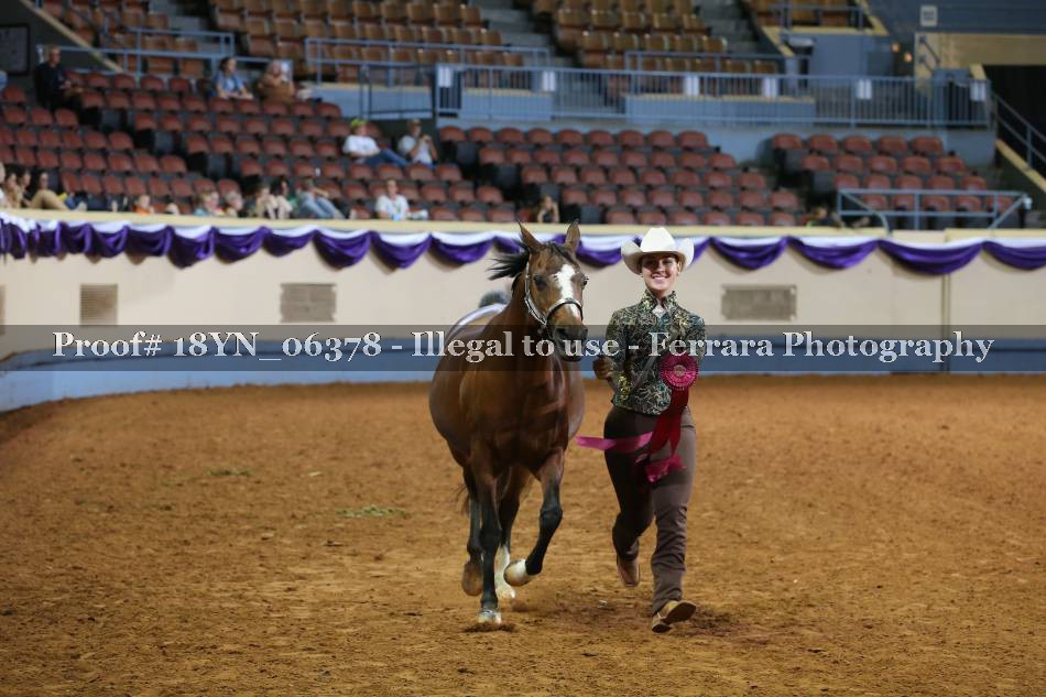 Proof 18YN_06378