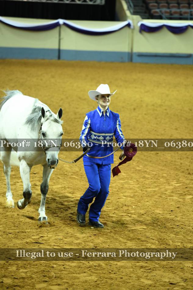 Proof 18YN_06380