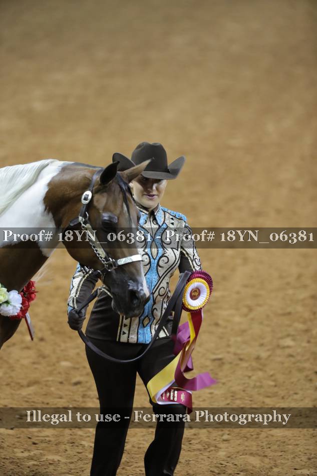 Proof 18YN_06381