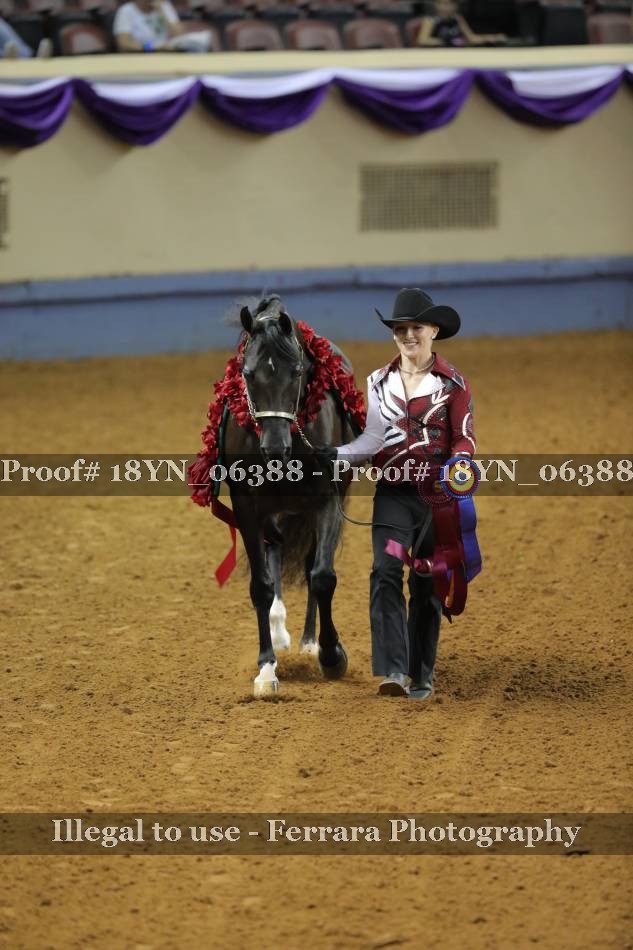 Proof 18YN_06388