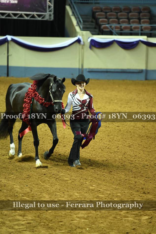 Proof 18YN_06393