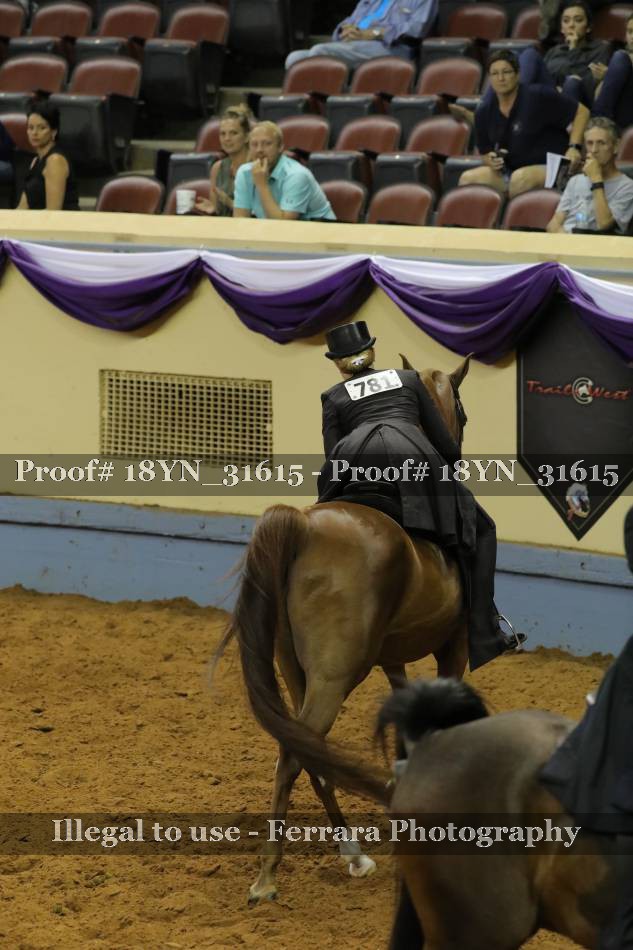 Proof 18YN_31615