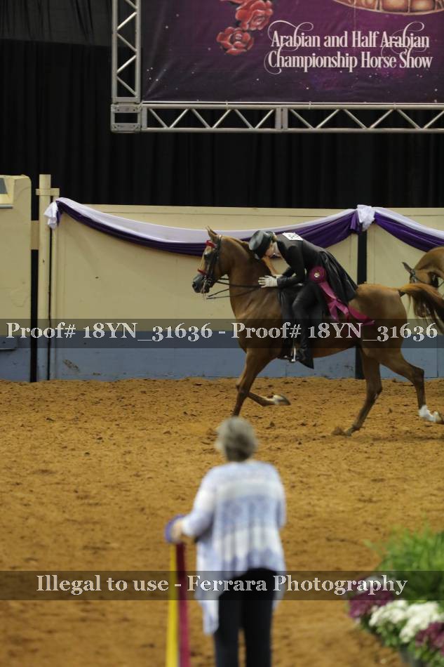 Proof 18YN_31636