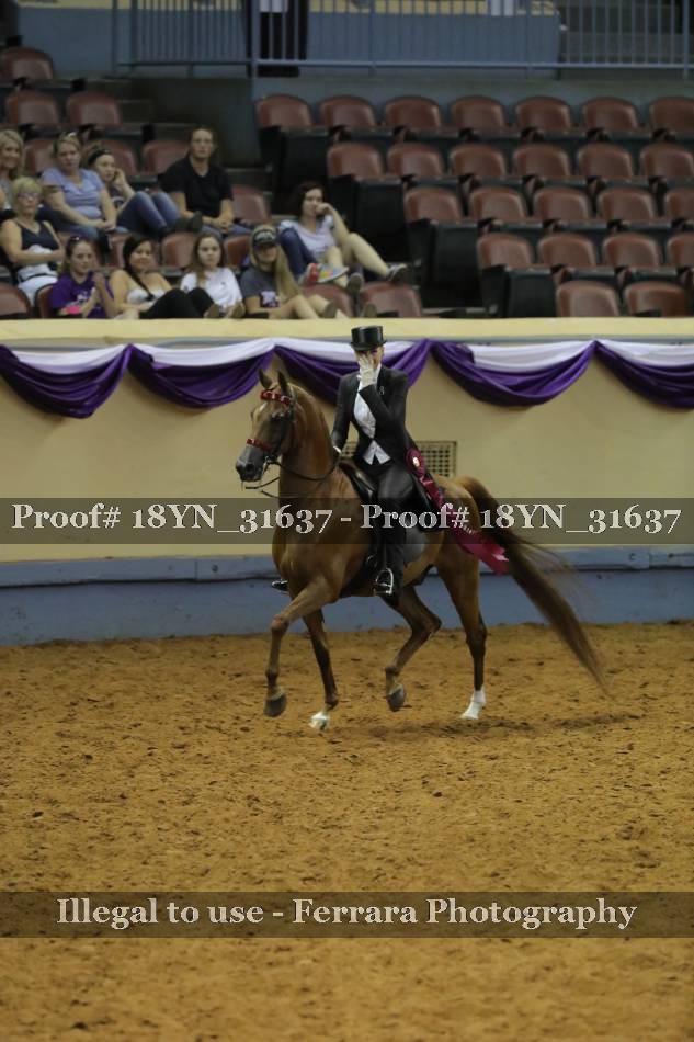 Proof 18YN_31637