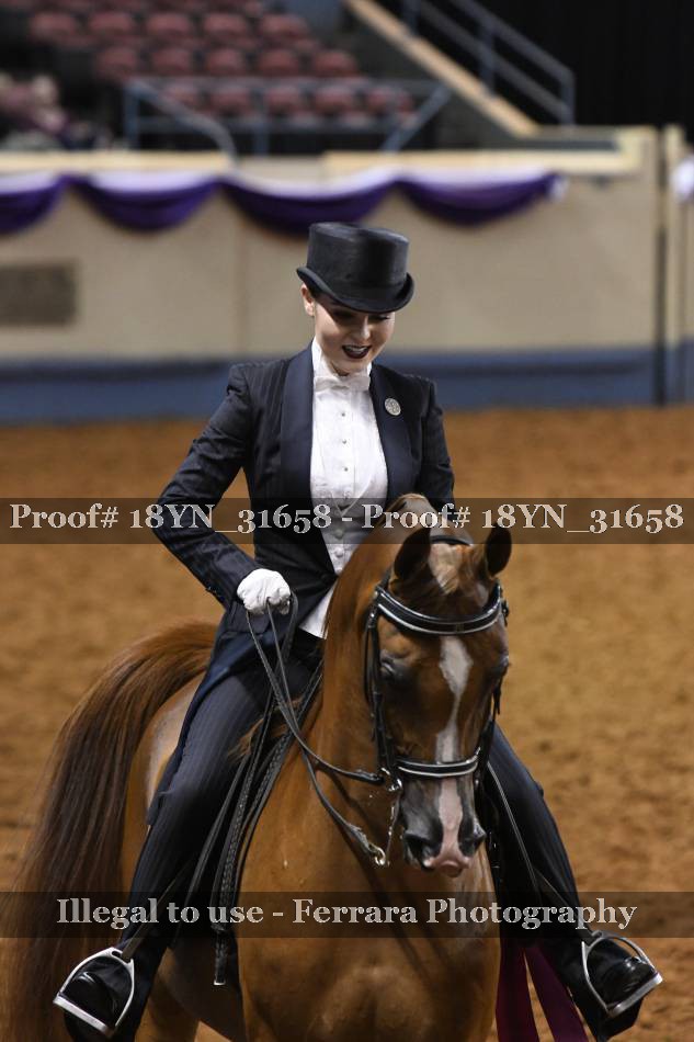 Proof 18YN_31658