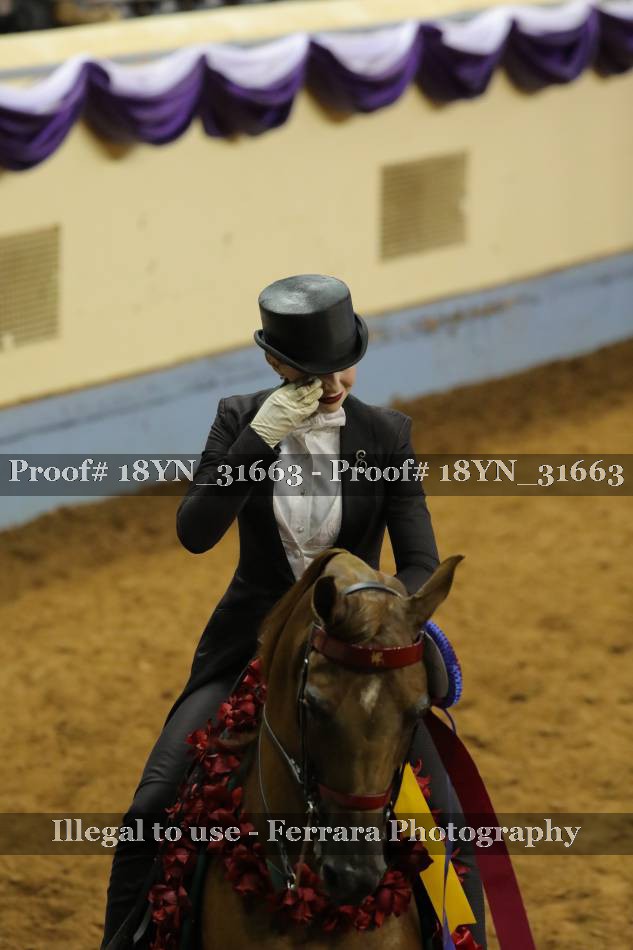 Proof 18YN_31663
