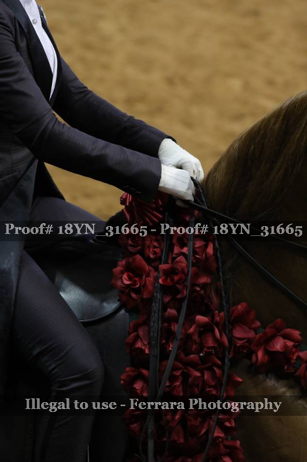 Proof 18YN_31665