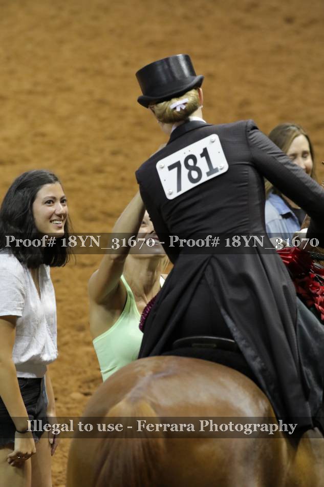 Proof 18YN_31670