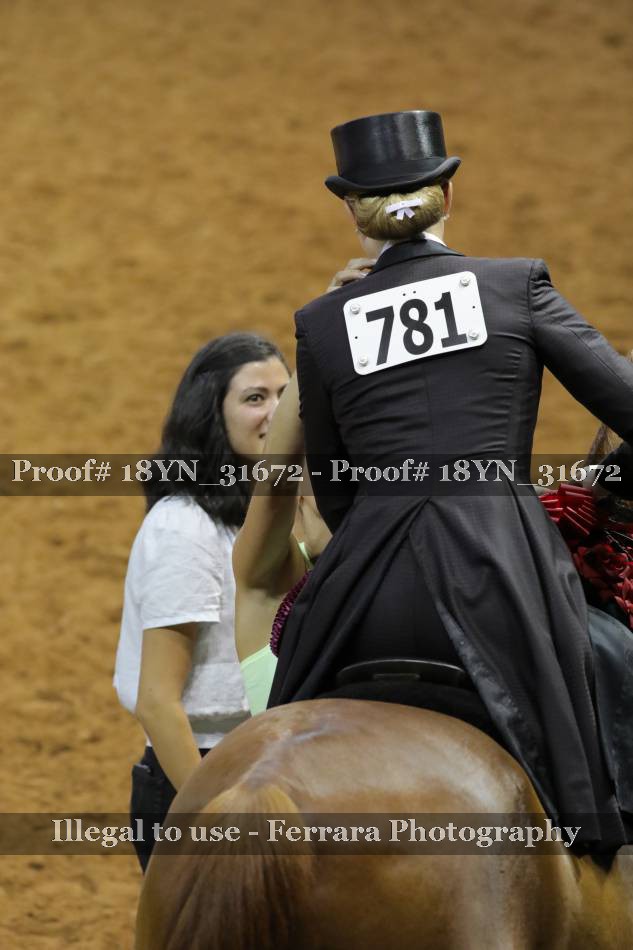Proof 18YN_31672