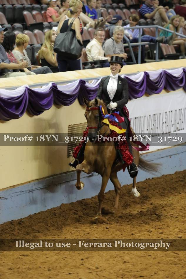 Proof 18YN_31729