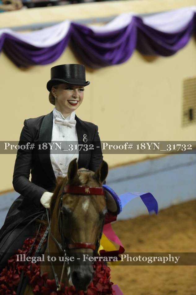Proof 18YN_31732