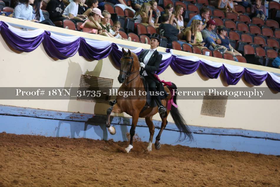 Proof 18YN_31735