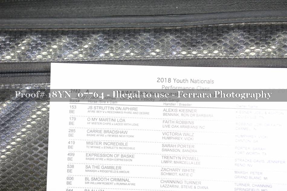 Proof 18YN_07764
