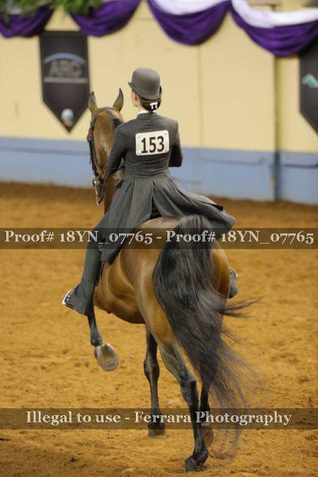 Proof 18YN_07765