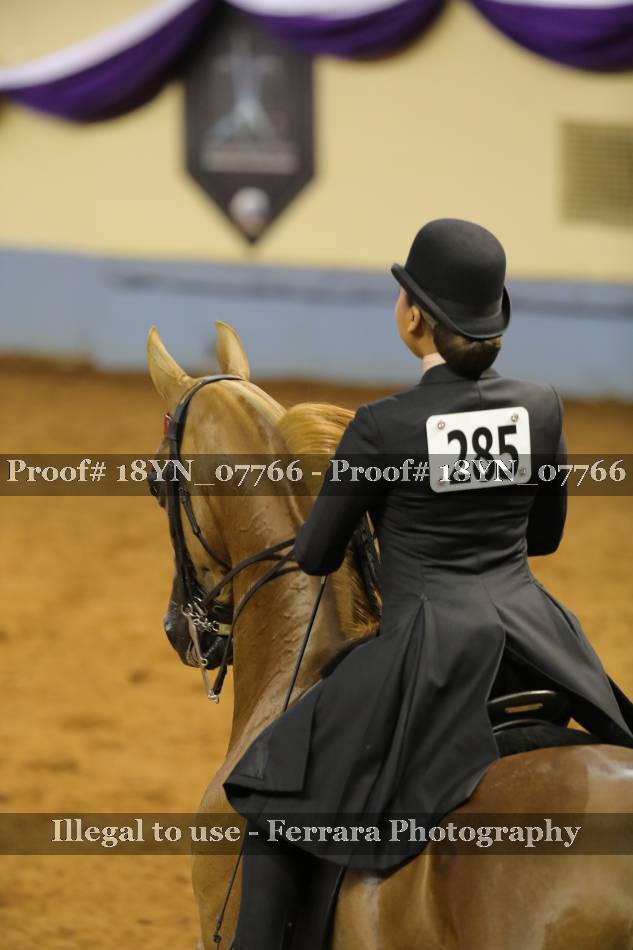 Proof 18YN_07766