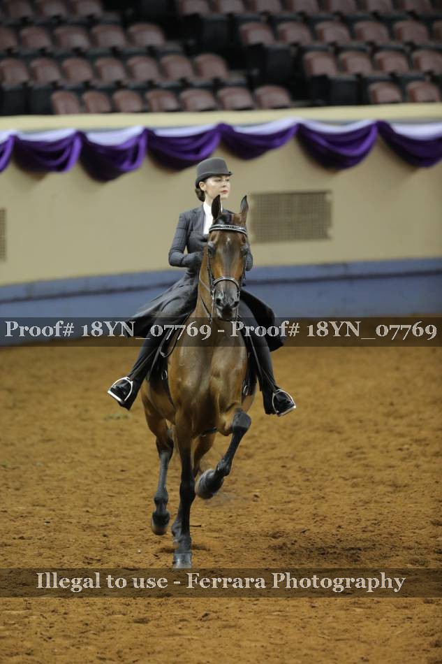 Proof 18YN_07769