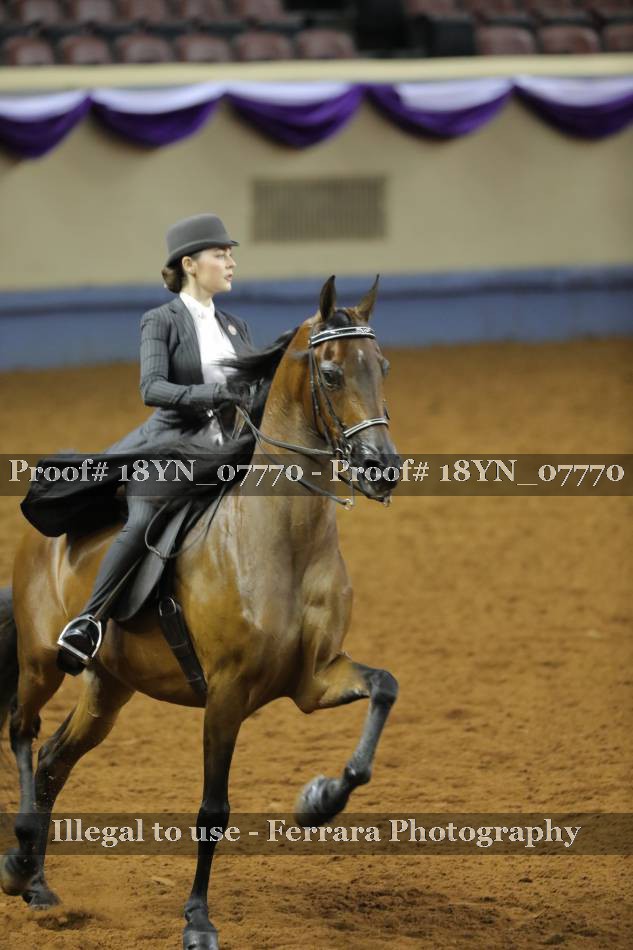 Proof 18YN_07770