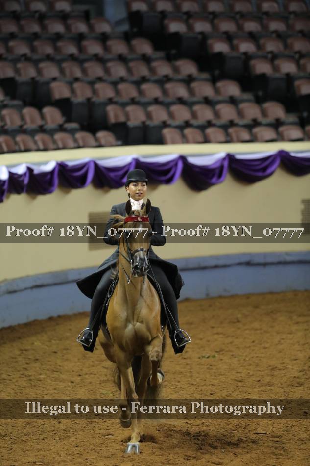 Proof 18YN_07777