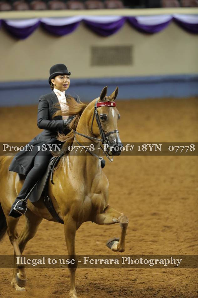 Proof 18YN_07778