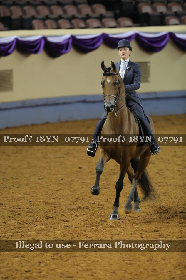 Proof 18YN_07791