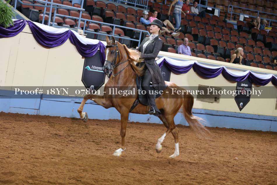 Proof 18YN_07801