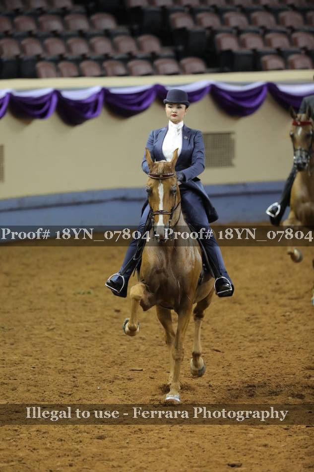 Proof 18YN_07804