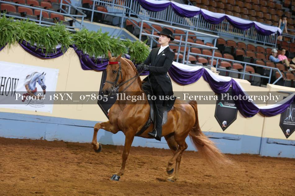 Proof 18YN_07805