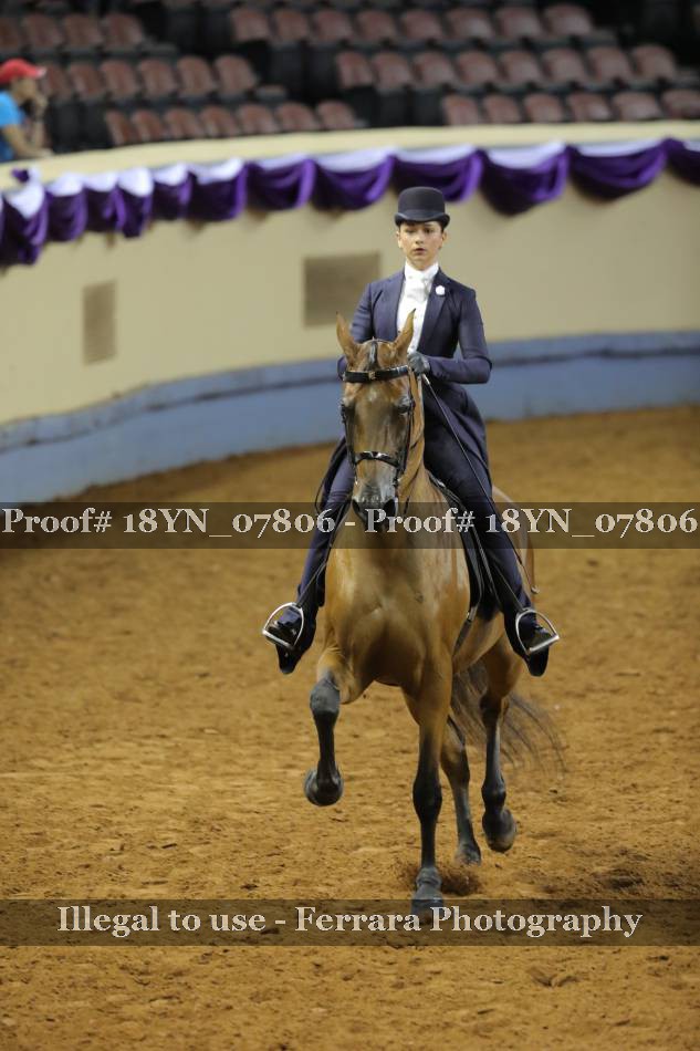 Proof 18YN_07806