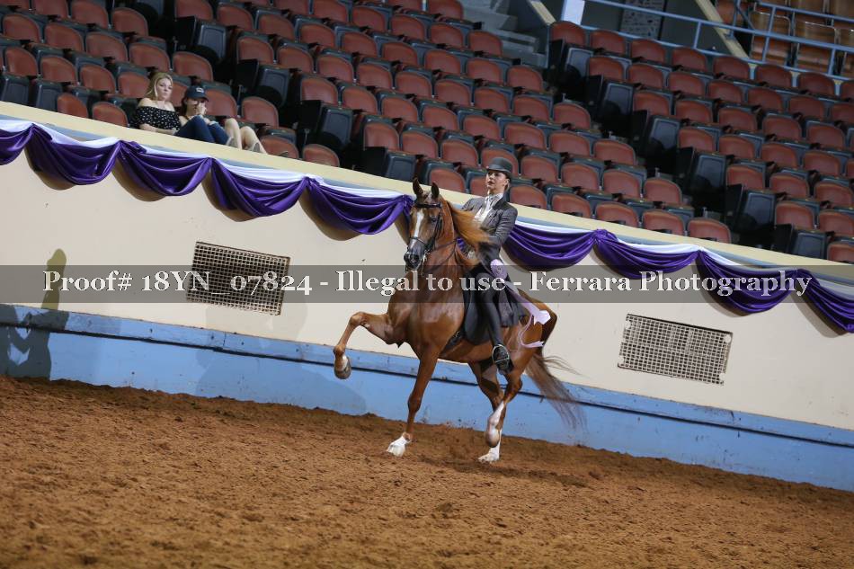 Proof 18YN_07824