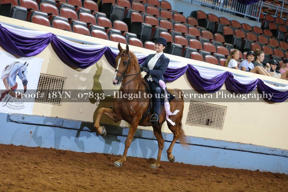 Proof 18YN_07833