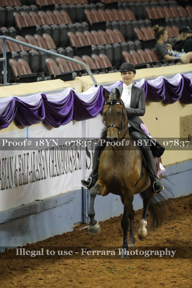Proof 18YN_07837