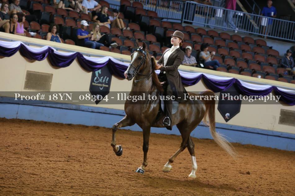 Proof 18YN_08304
