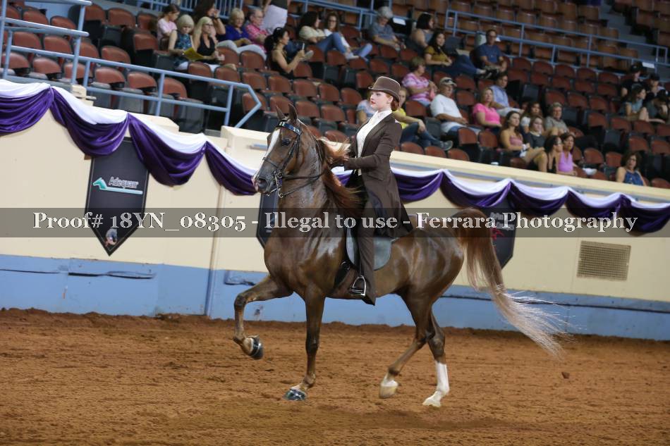 Proof 18YN_08305