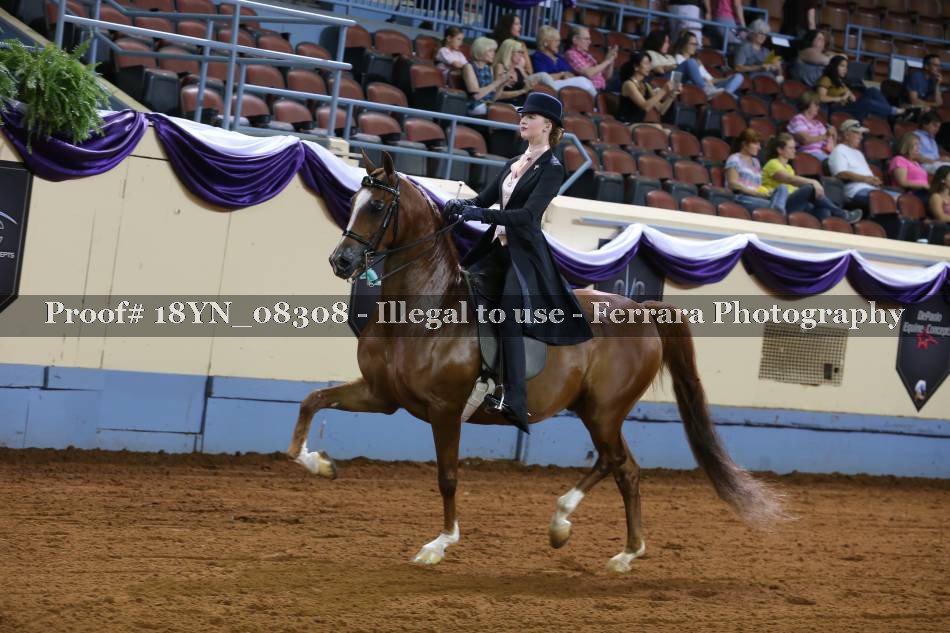 Proof 18YN_08308