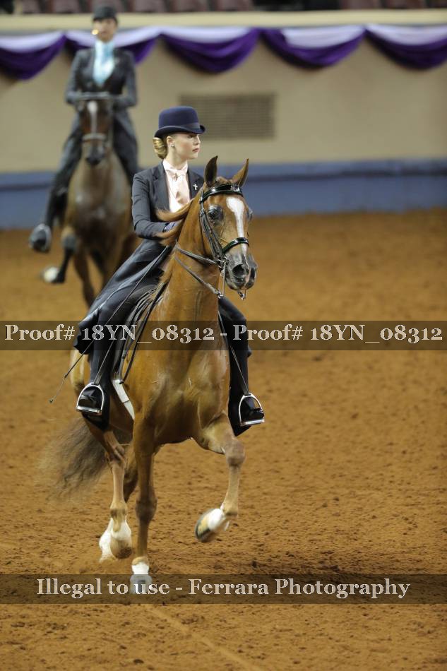Proof 18YN_08312